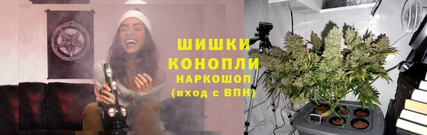 эйфоретик Баксан