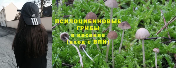 эйфоретик Баксан