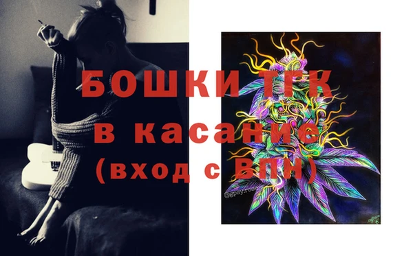 эйфоретик Баксан