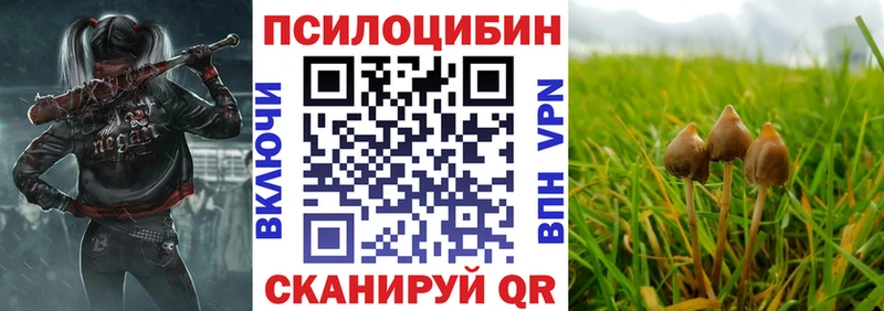 наркота Заозёрск Галлюциногенные грибы ЛСД